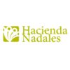 Autor Avatar
